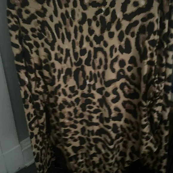 Leopard - Picture 3 of 3